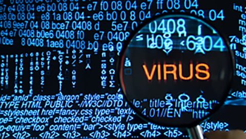 can macbooks get viruses from websites